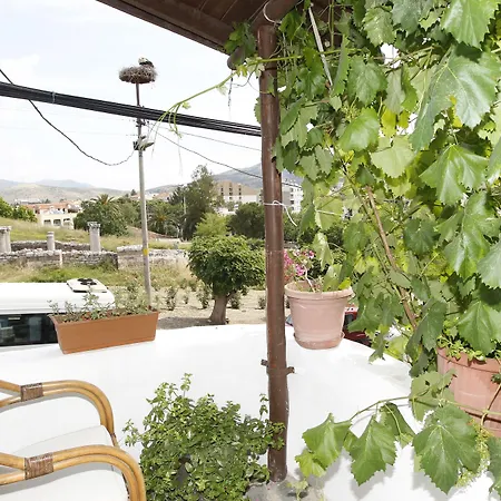 Nazhan 3* سلجوك