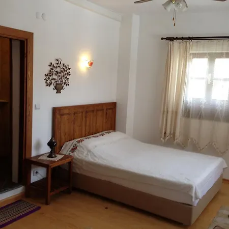 Guest house Nazhan 3*