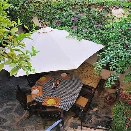 Nazhan セルチュク