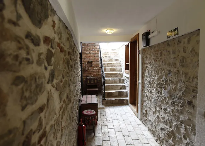 Nazhan Сельчук