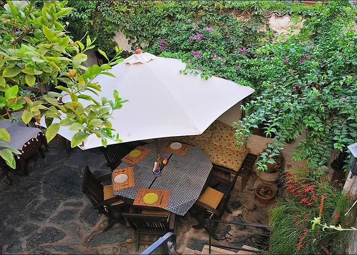 Nazhan Сельчук